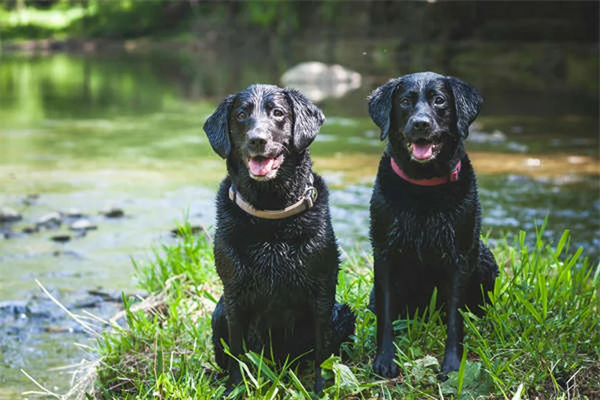 海水魚水槽の月光灯、正しい使い方で夜行性の魚も大活躍